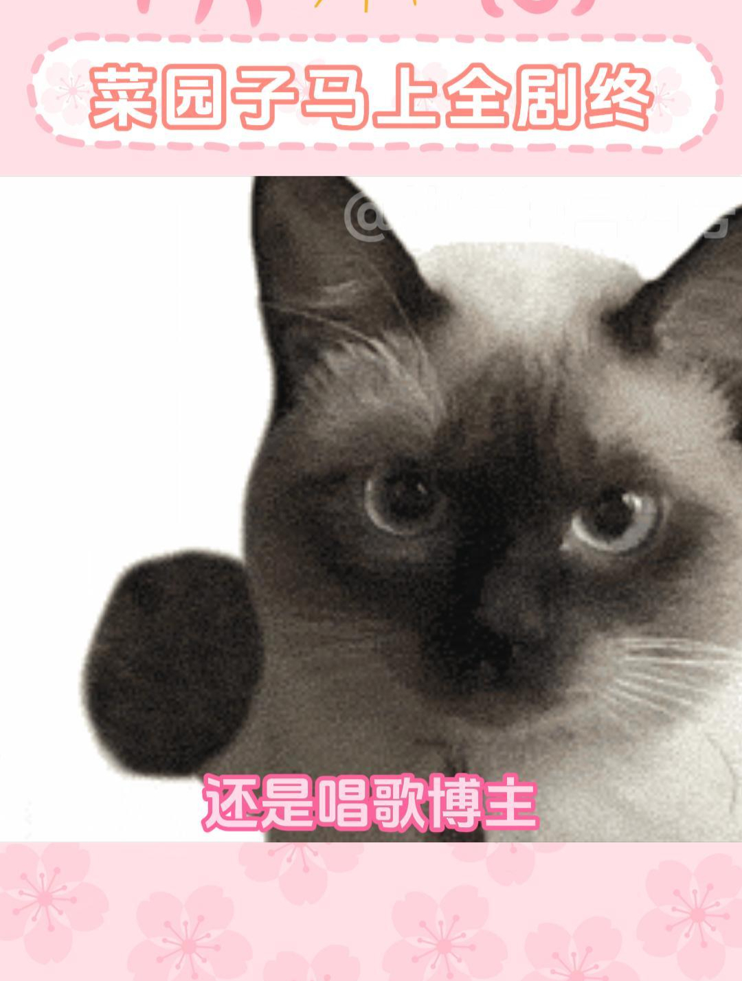 种菜博主要转行当唱歌博主了