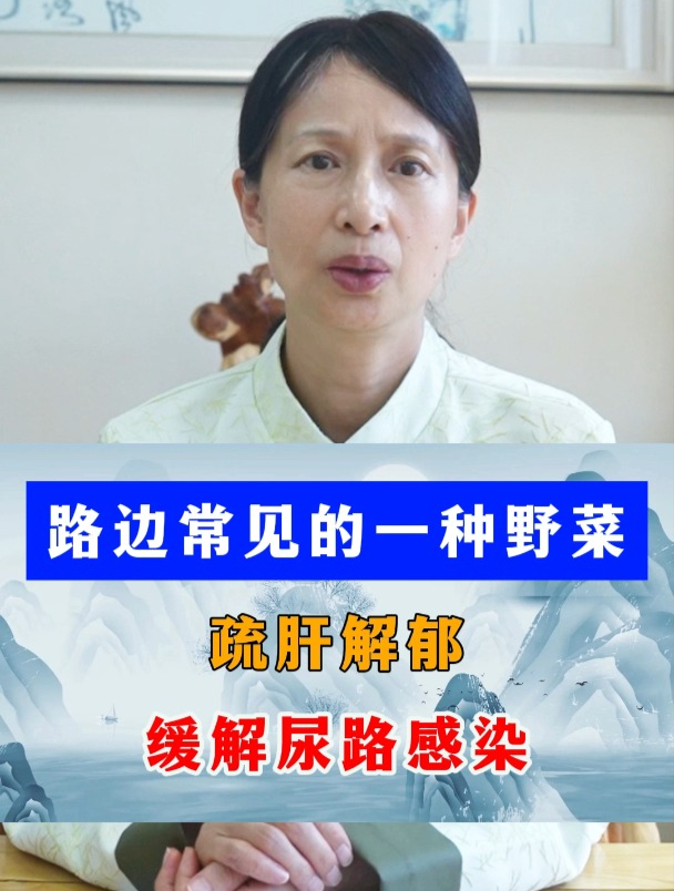 路边常见的一种野菜,疏肝解郁,缓解尿路感染