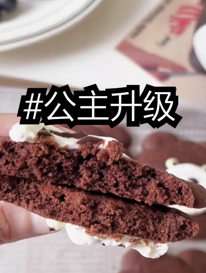 公主升级,小说推荐