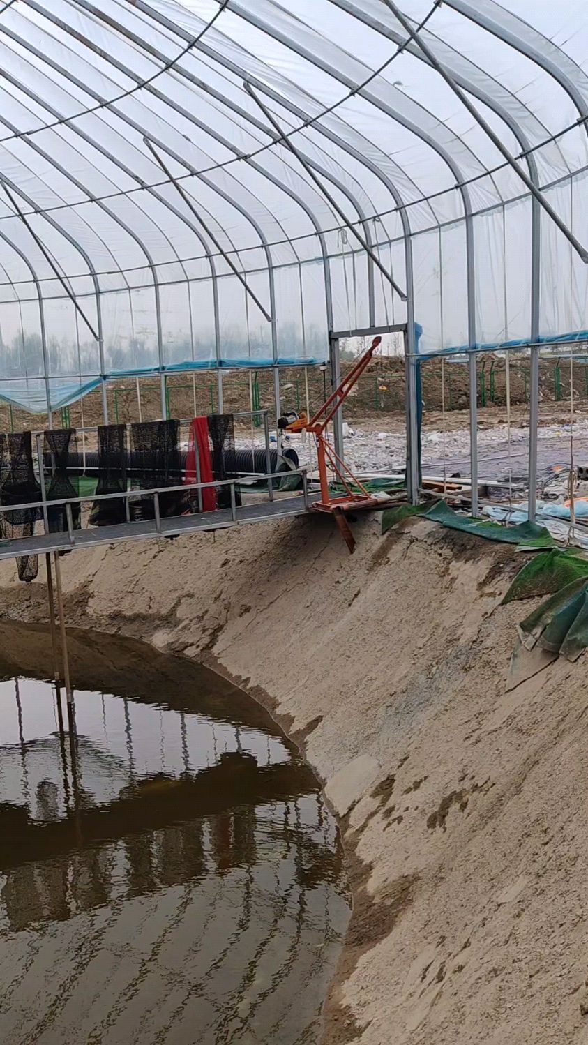 钓鱼大棚温室大棚