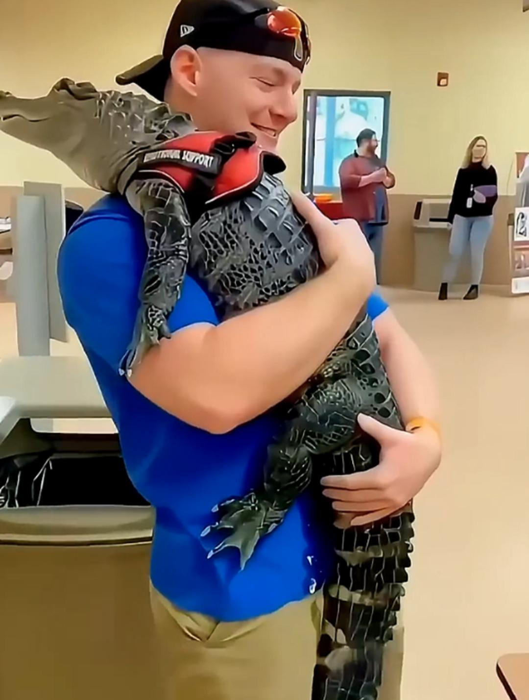 男子救下一只瞎眼小鳄鱼!没想到多年后再次相遇,鳄鱼还记得他