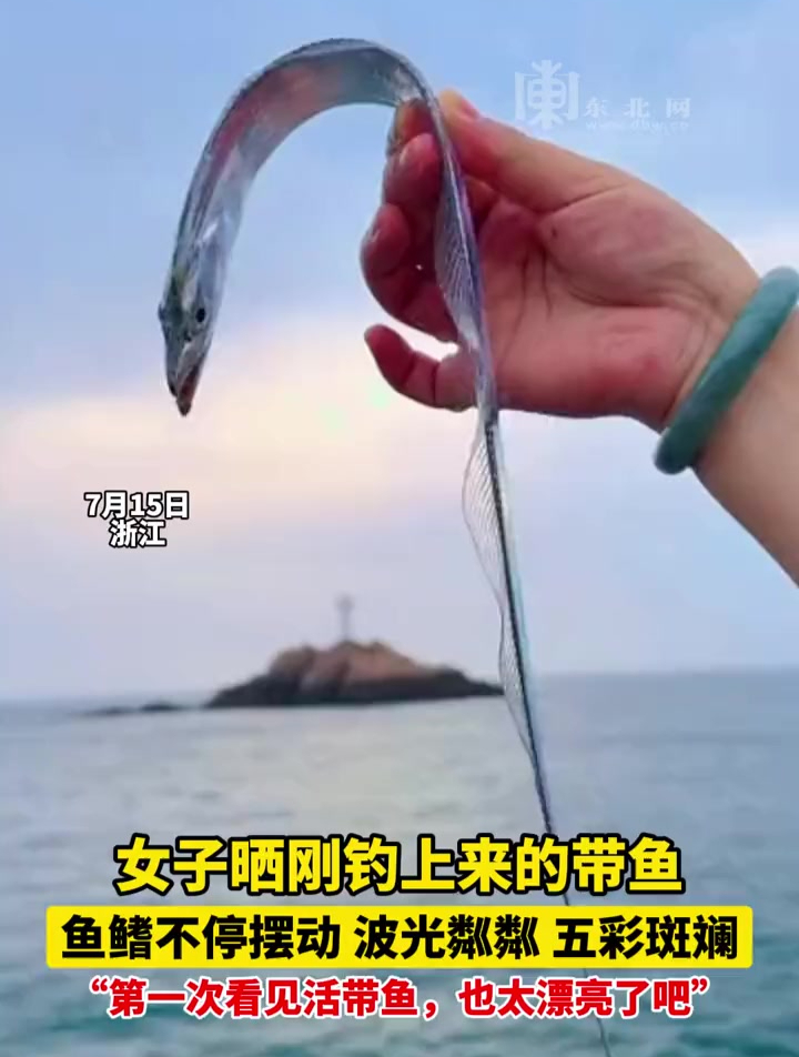 女子晒刚钓上来的带鱼,鱼鳍不停摆动,波光粼粼、五彩斑斓,“第一次看见活带鱼,也太漂亮了吧”
