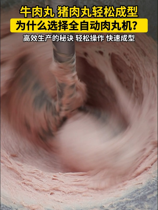 商用全自动肉丸机做牛肉丸猪肉丸