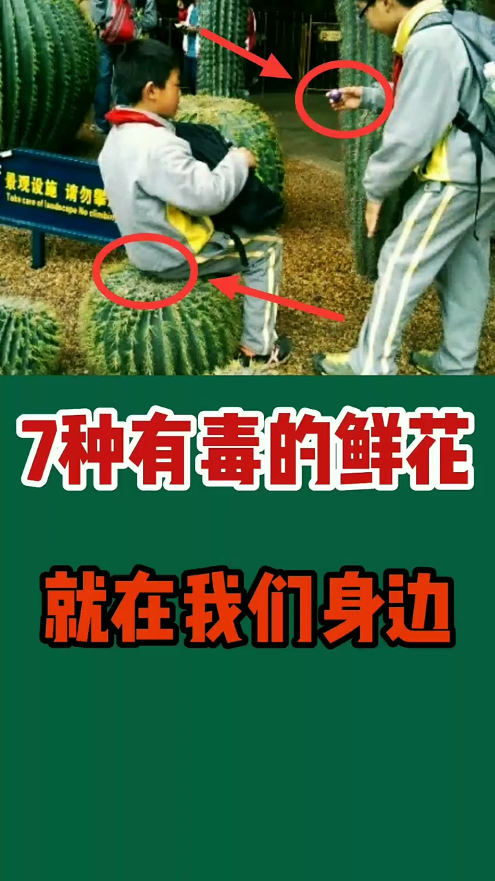 七种有毒的鲜花,就在我们身边。