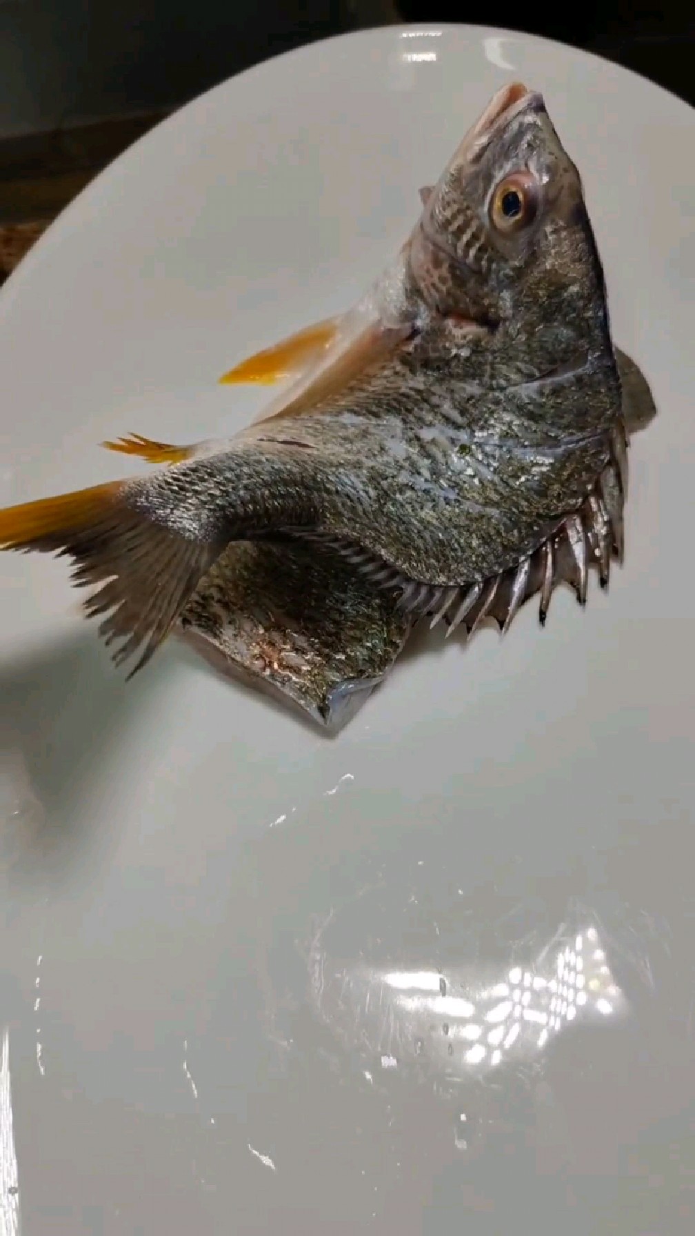 酒店清蒸鱼的改刀方法