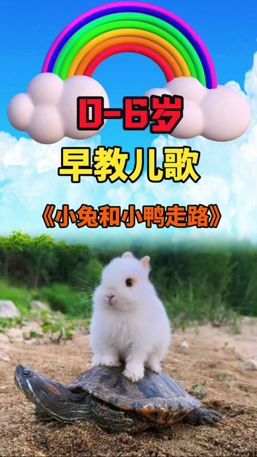 早教儿歌:小兔和小猫走路