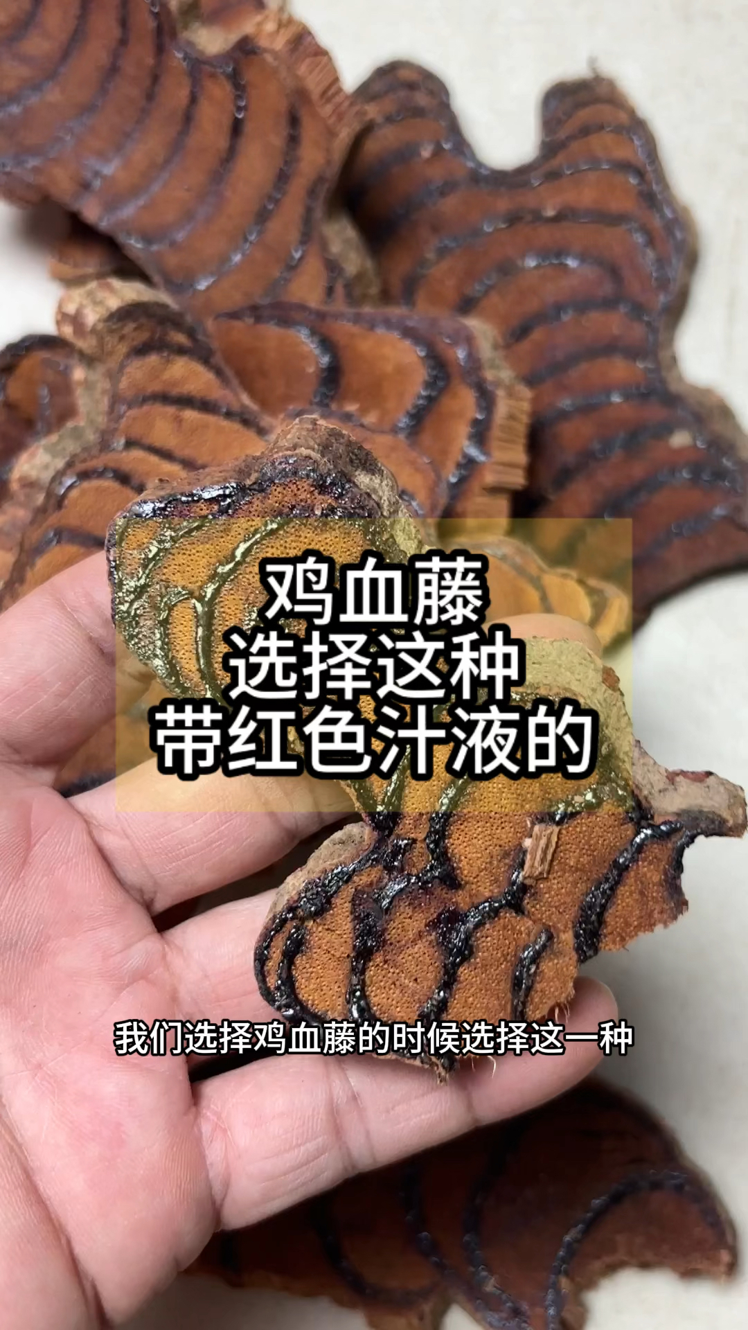 鸡血藤,要选择这样带红色汁液的