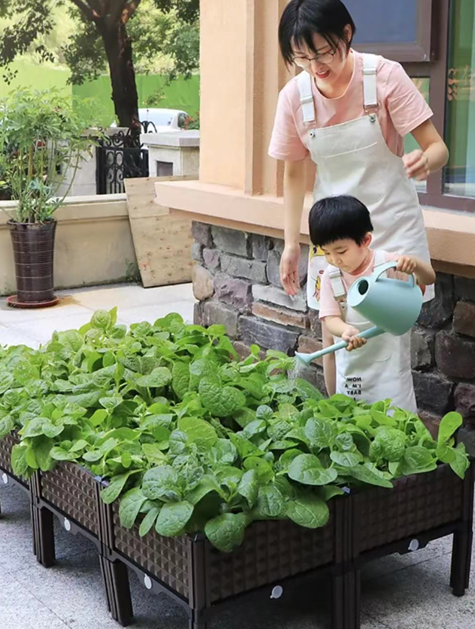 城里人种菜都不用地了!都用这种菜箱,太方便了