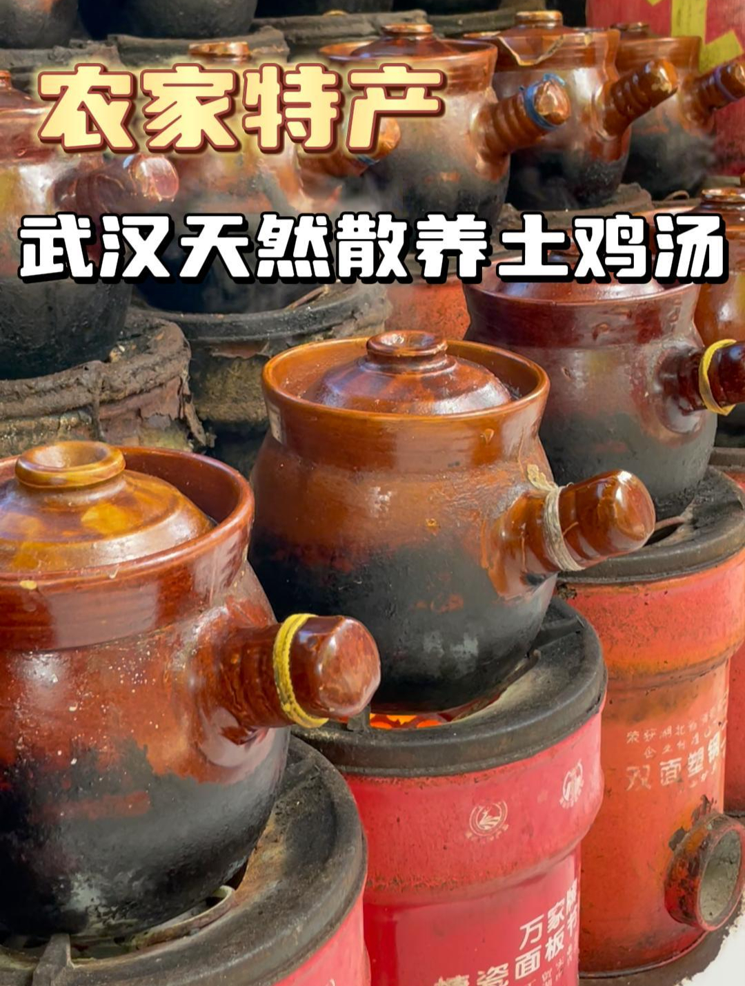 武汉本地传统土鸡汤