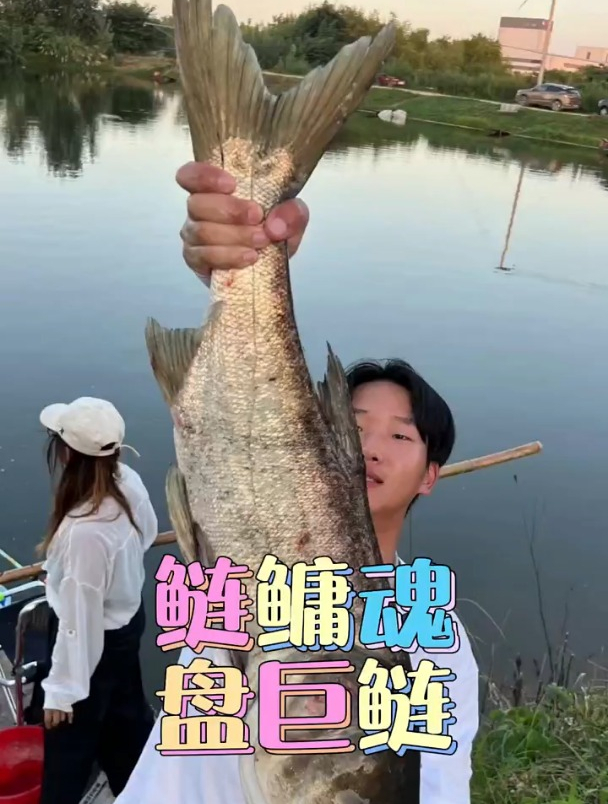 晒了一天,20+的大鳙鱼终于盘到了