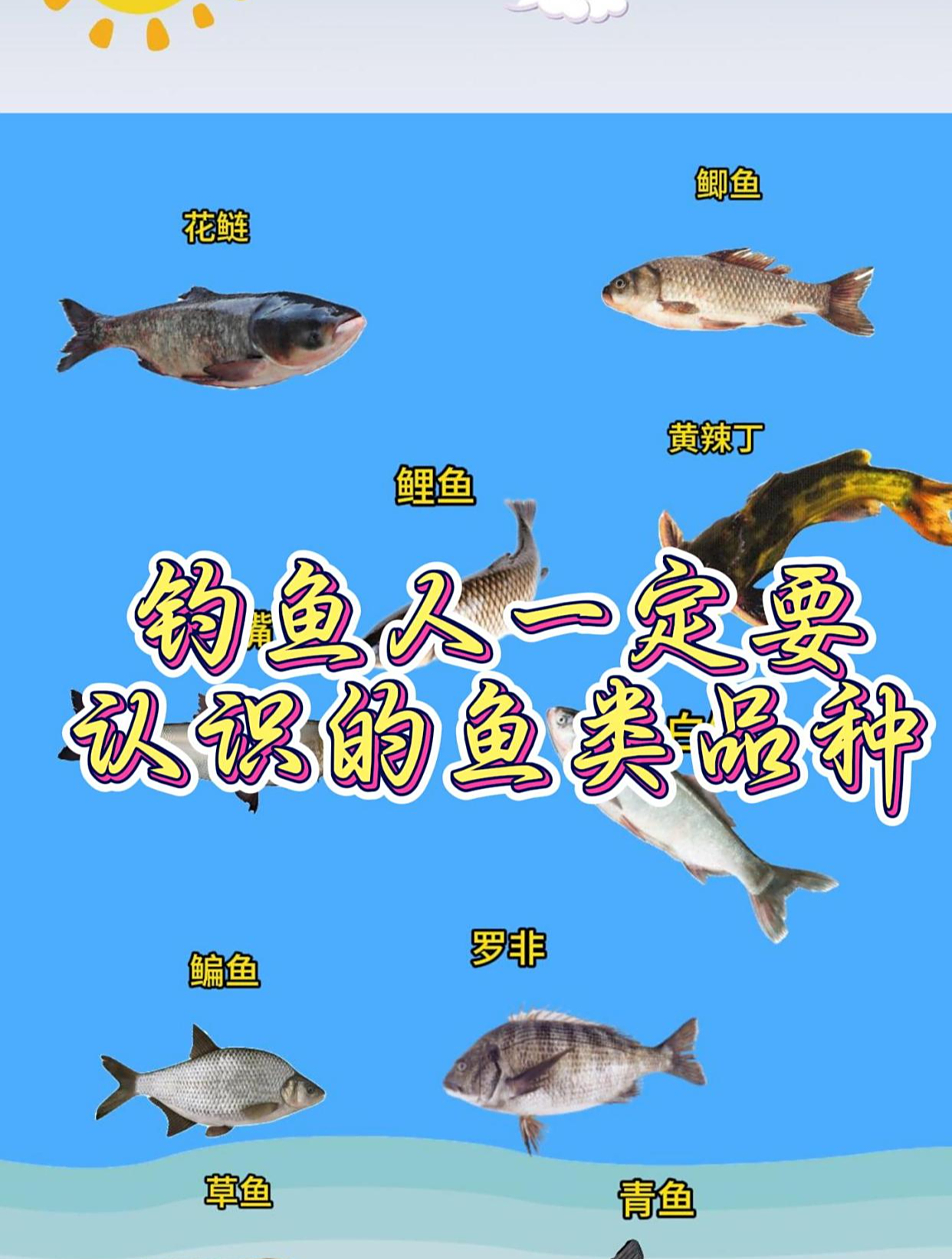 钓鱼人一定要认识的鱼类品种!