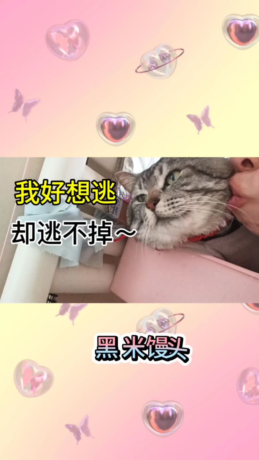 招财猫 : 我好想逃,却逃不掉～