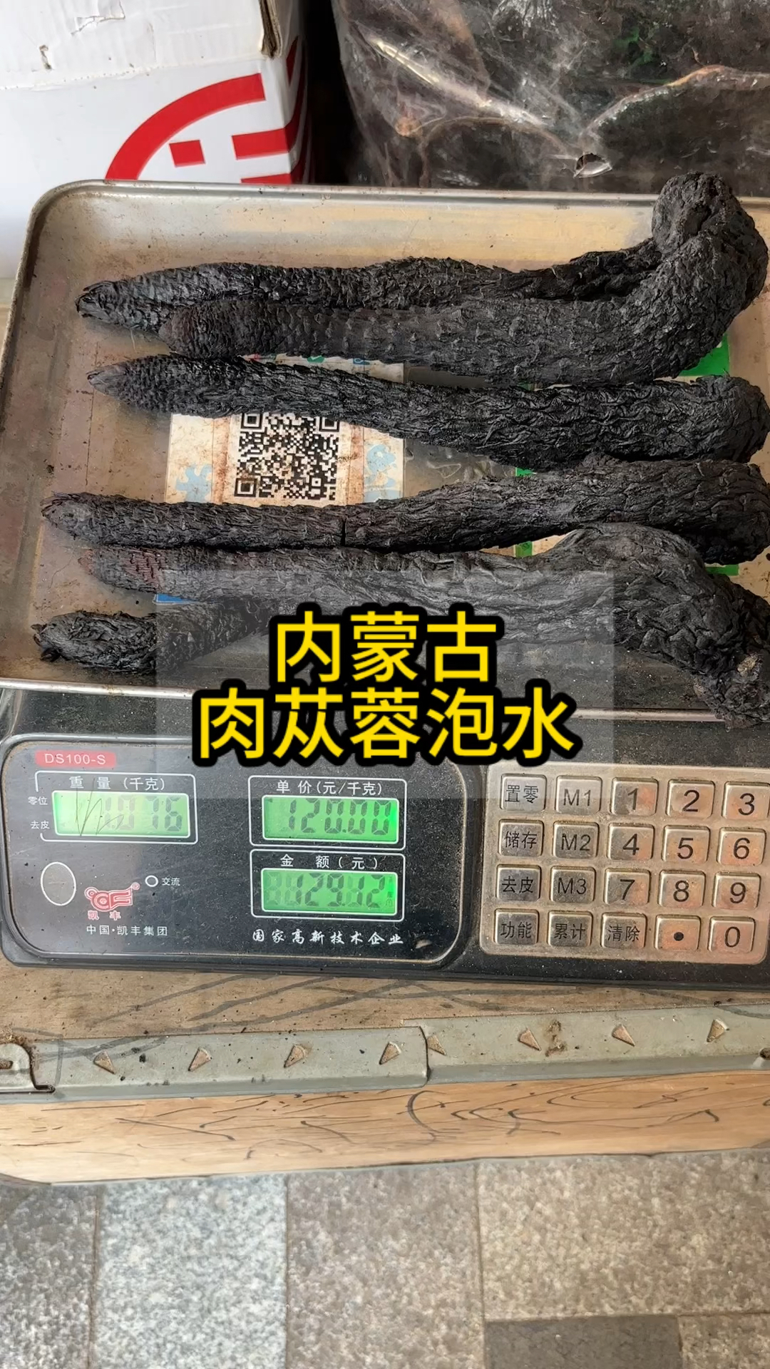 内蒙古肉苁蓉泡水,这个味道是太好喝了