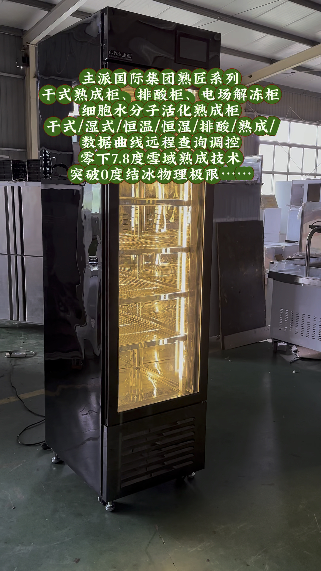 牛肉排酸熟成柜,电场解冻柜,主派国际集团干式熟成柜厂家