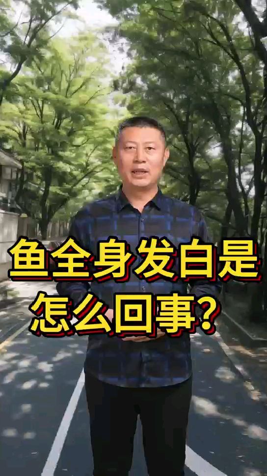 鱼全身发白是怎么回事?