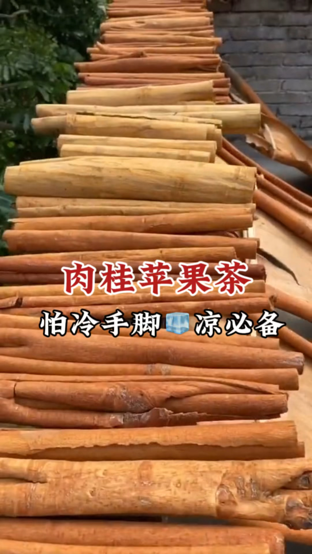 肉桂加苹果作用真不少,深受女性朋友喜爱的茶饮,它的好您了解吗