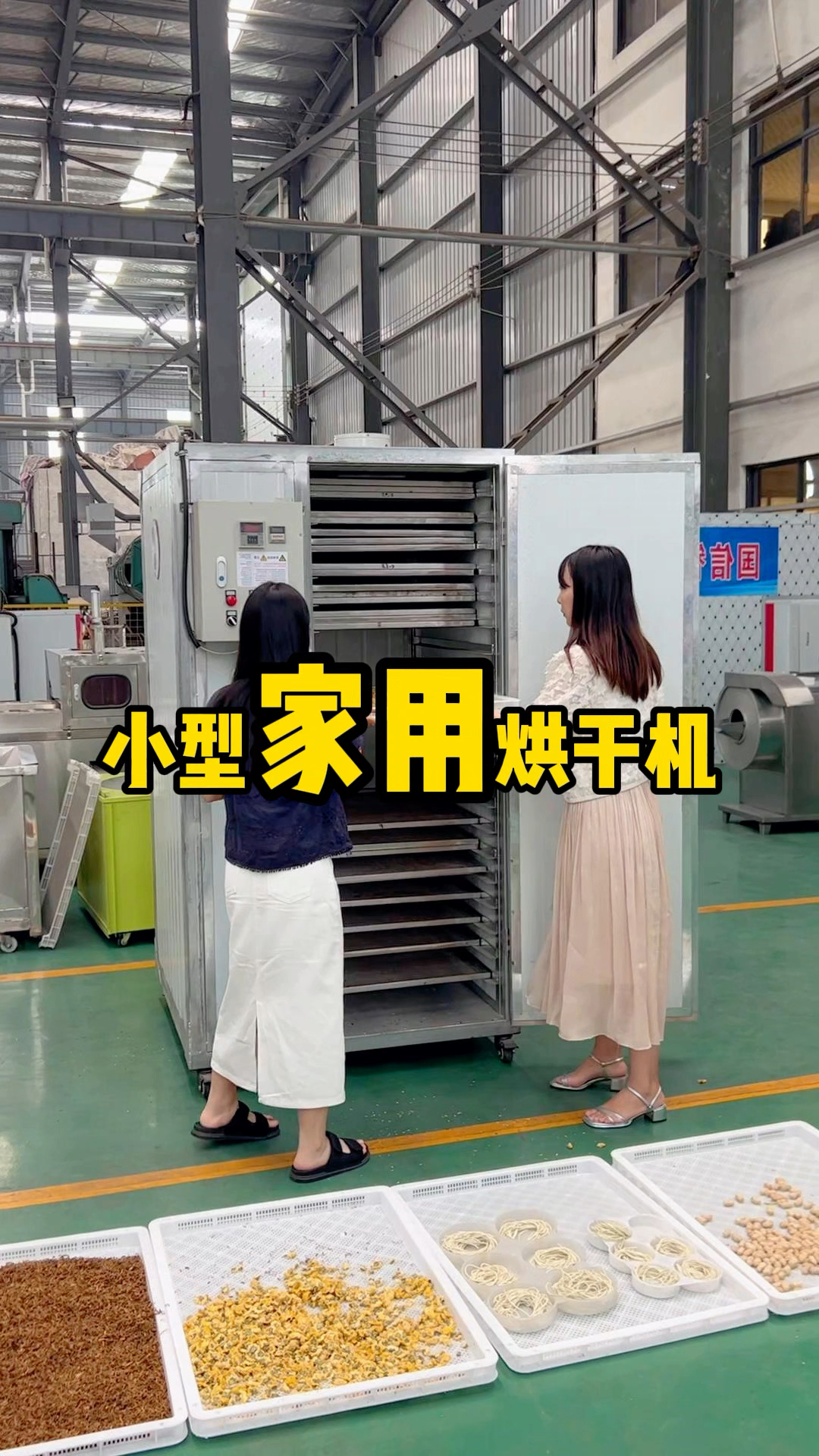 家里没有三项电怎么烘干农副产品#小型烘干机 #家用蔬菜烘干机 #萝卜烘干机