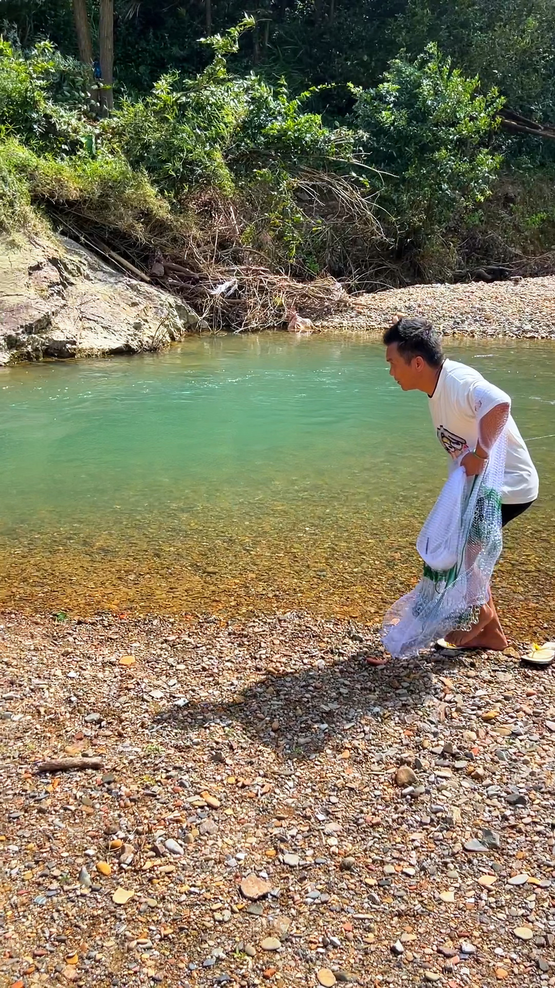 马口又称桃花鱼,非常漂亮