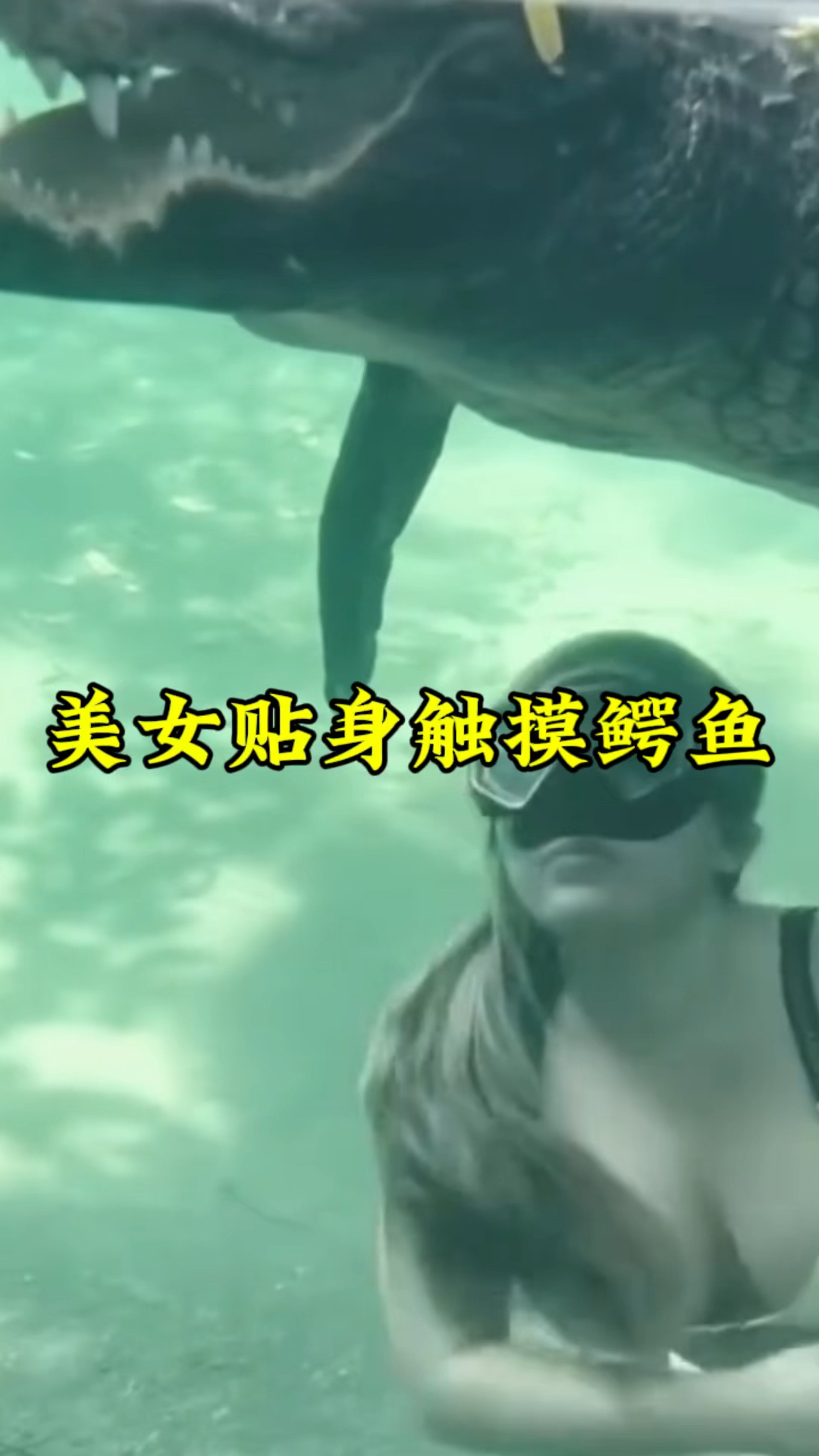胆大的美女小姐姐,近身与鳄鱼亲密接触