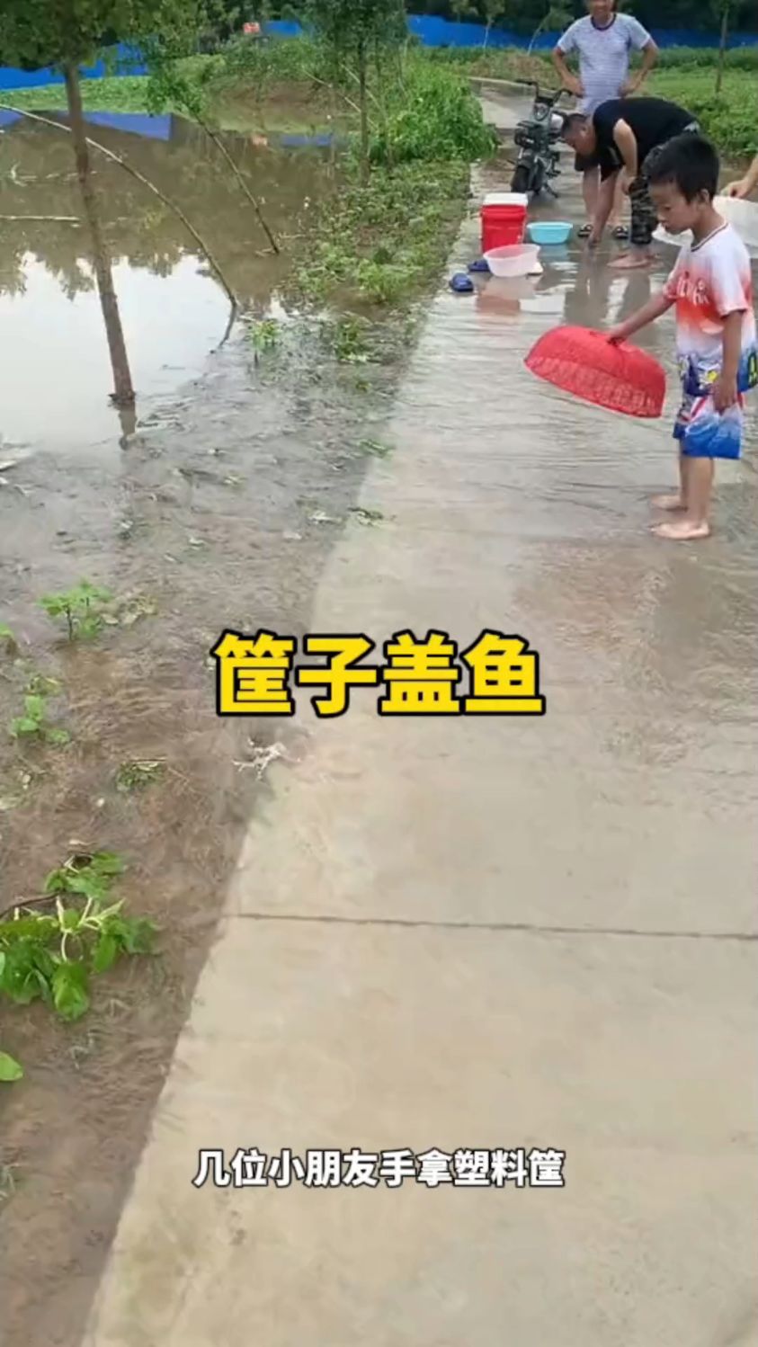 用塑料筐在岸边盖鱼