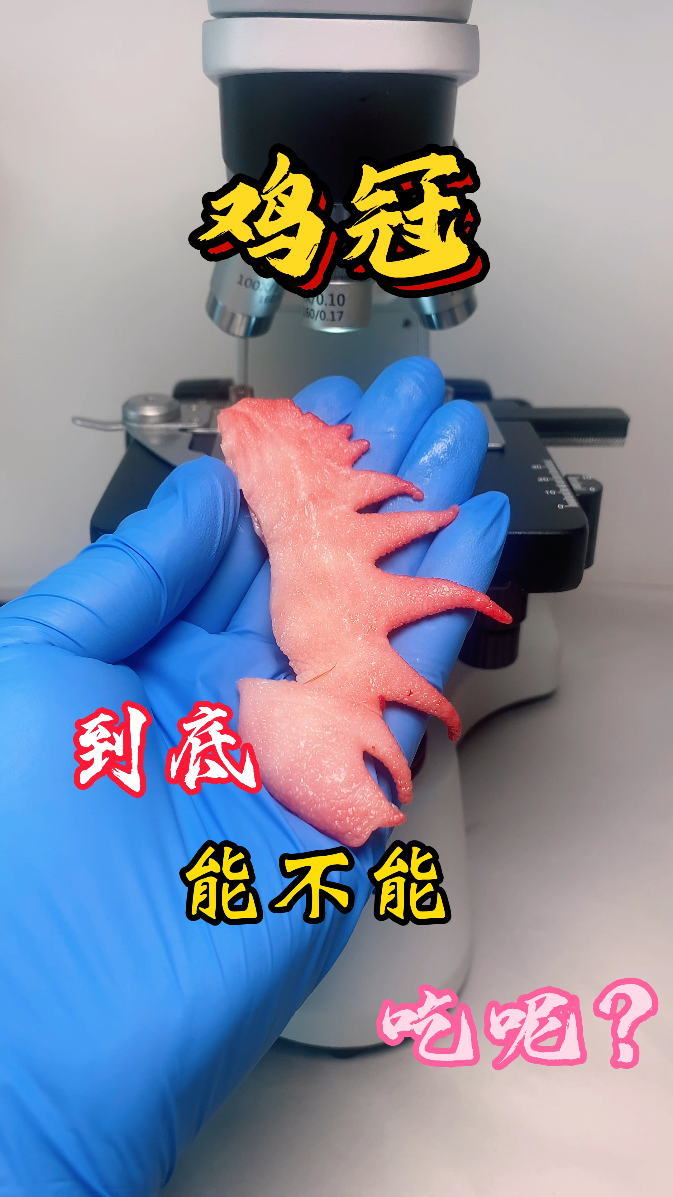 鸡冠能不能吃呢?