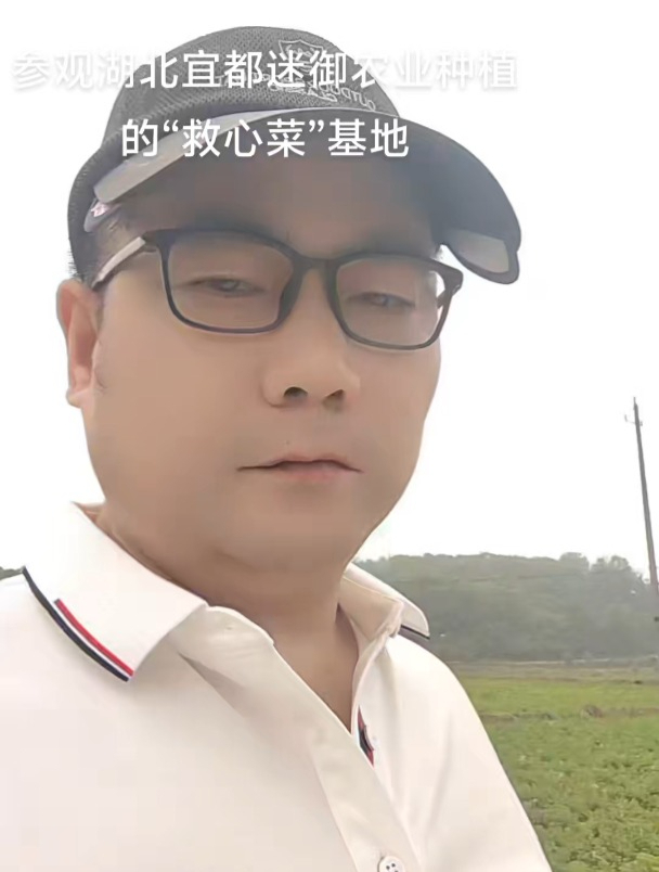 参观湖北迷御农业在宜都种植的“救心菜”基地