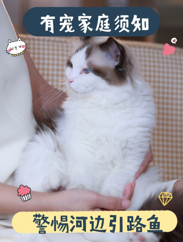 有宠家庭须知:警惕河边引路鱼!