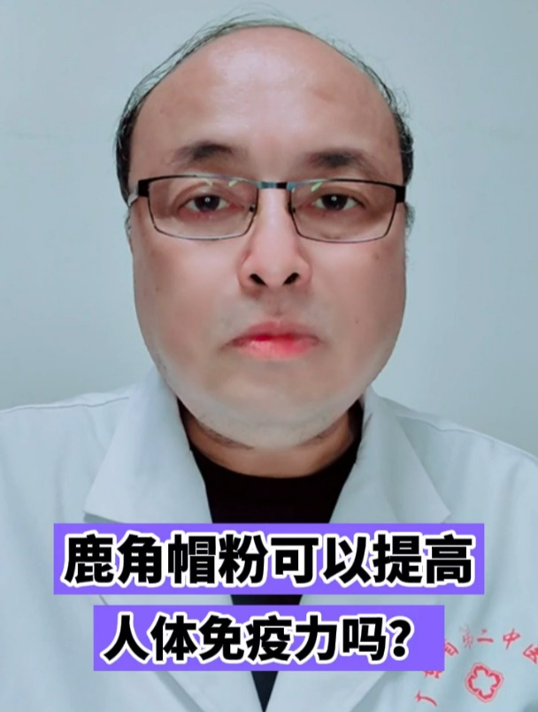 鹿角帽粉可以提高人体免疫力吗?