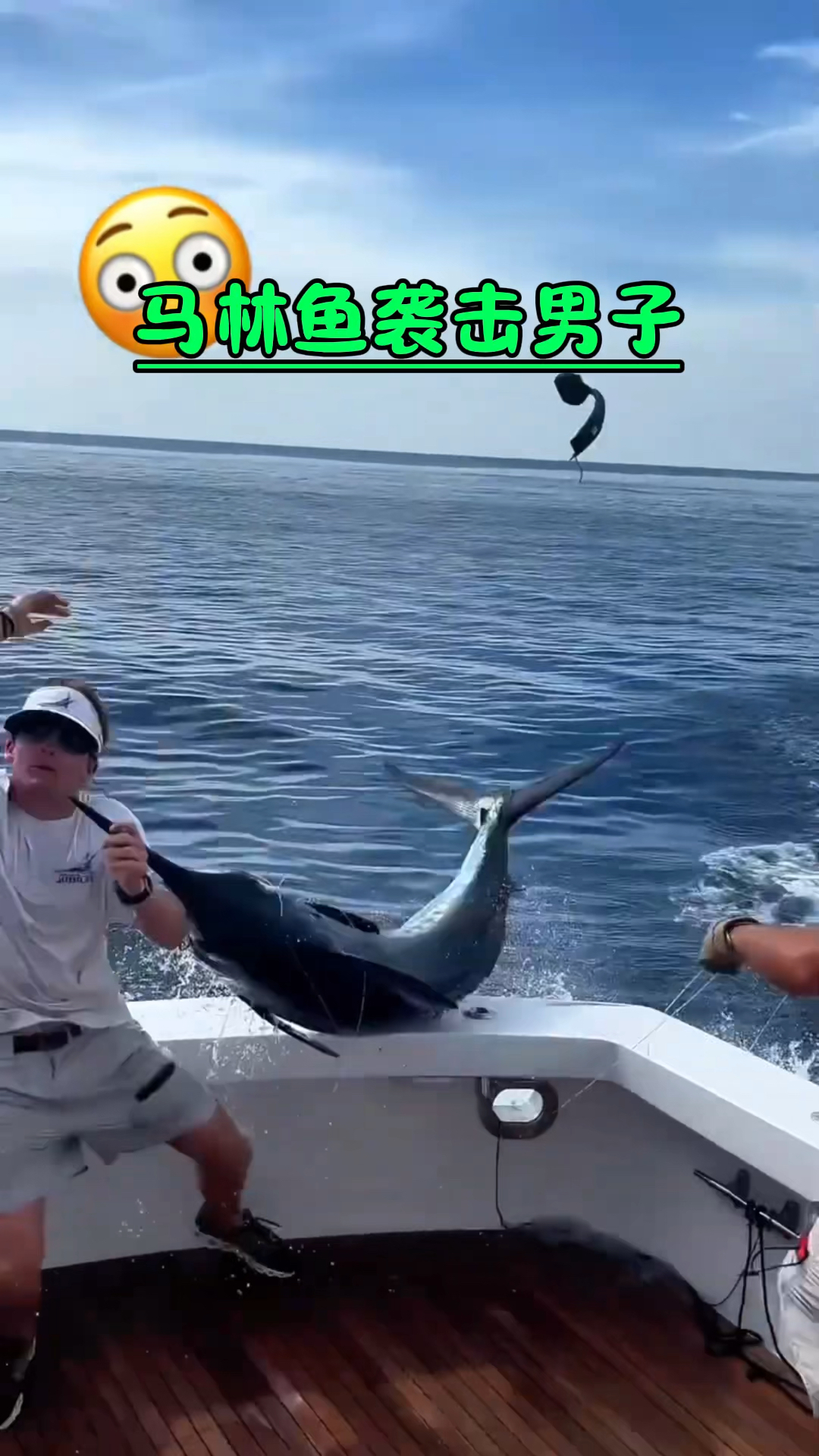 男子被马林鱼袭击