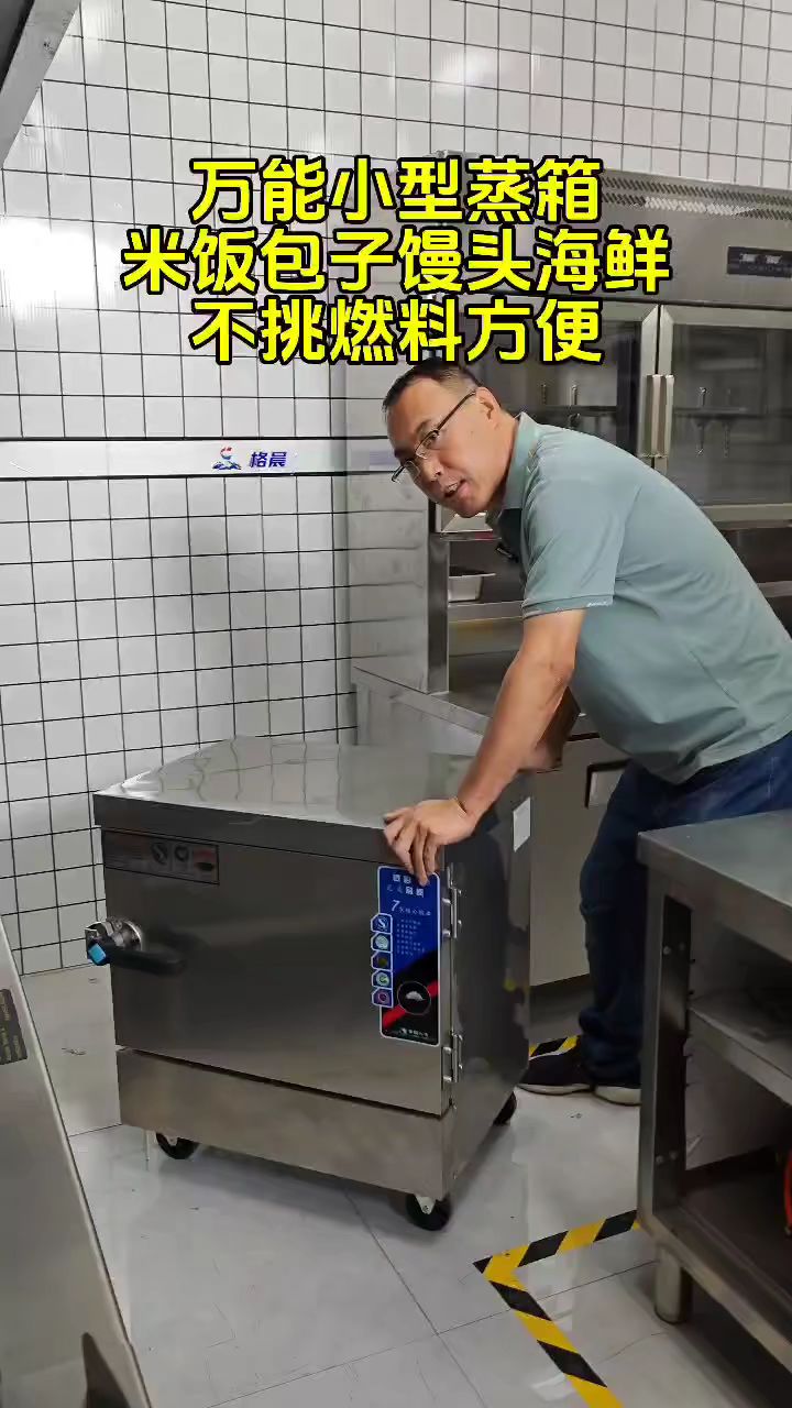 多功能小型款蒸箱