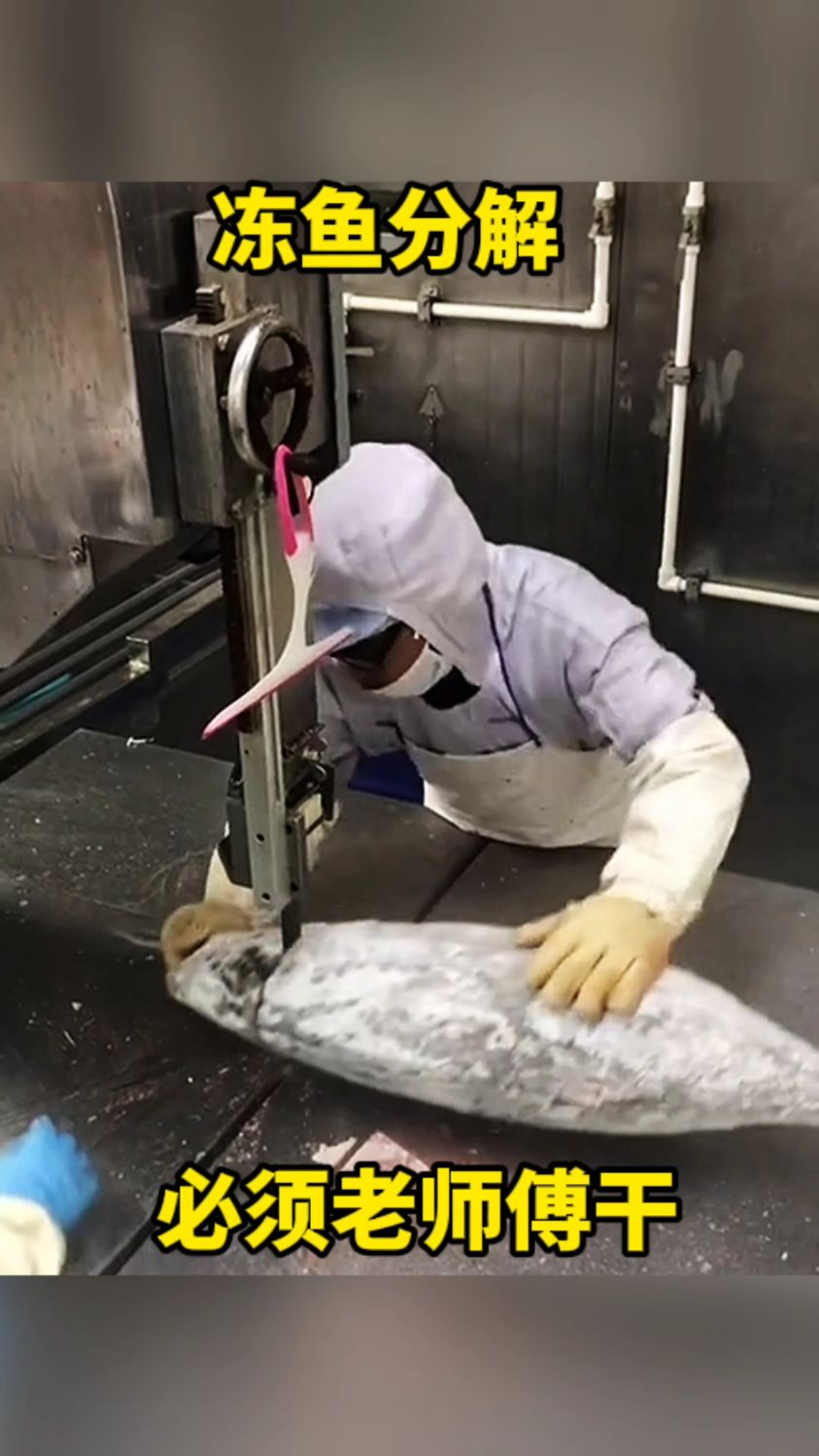 冻鱼分解,必须老师傅干