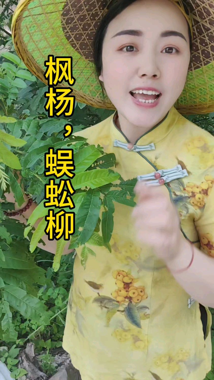 世界的万物都是一物克一物。找对植物就能解决我们的大问题。