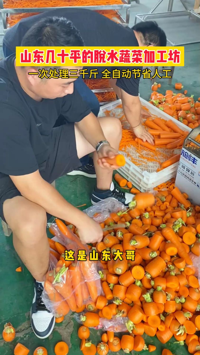胡萝卜烘干机,萝卜干烘干机,蔬菜烘干机