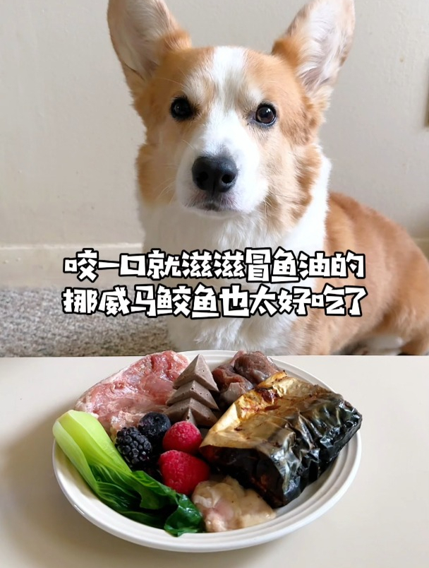 咬一口就滋滋冒鱼油的挪威马鲛鱼,也太好吃了