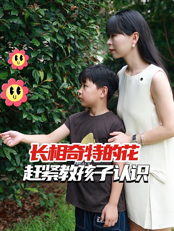 你见过长得像的花吗?