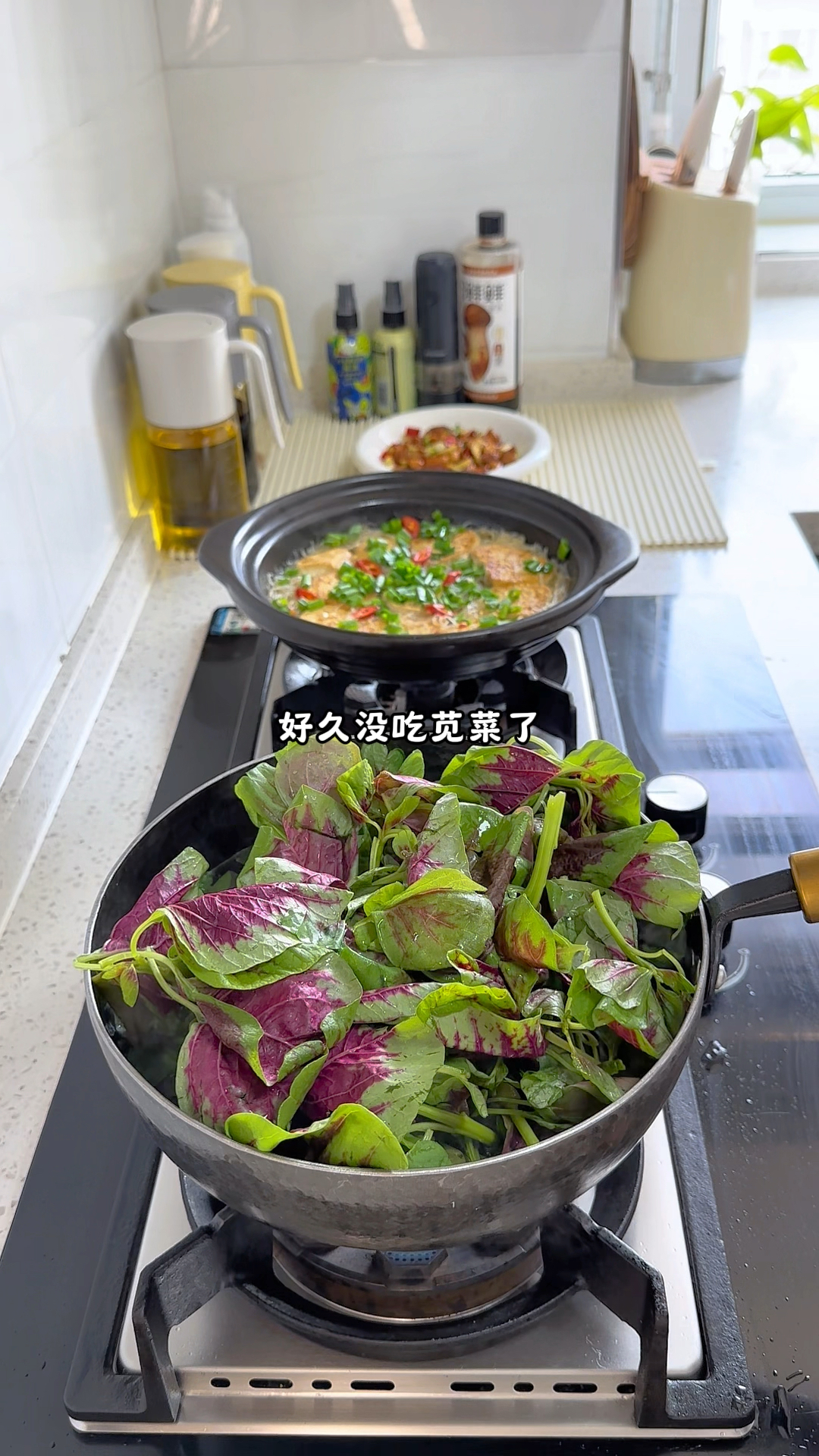 16.5的晚餐:上汤苋菜:泡椒鸡丁、蒜蓉粉丝豆腐煲