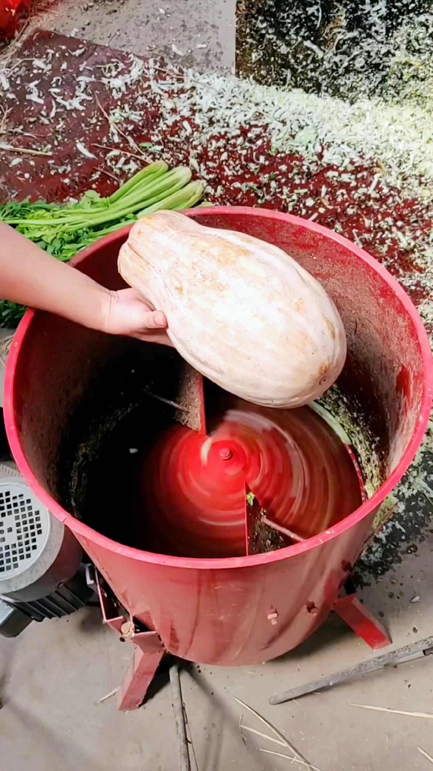 两相电就能使用的瓜果蔬菜切丝机