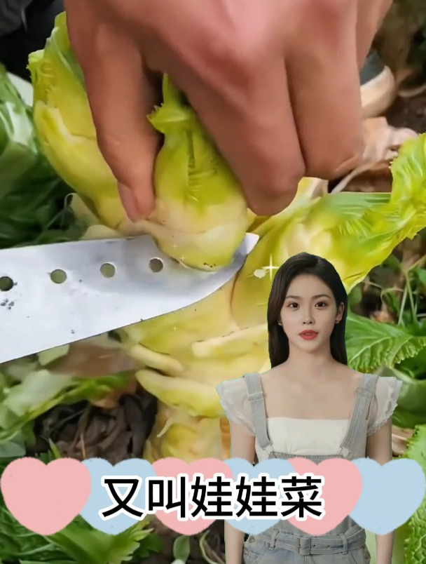 儿菜又叫“娃娃菜”,钙含量超过牛奶,VC胜过苹果