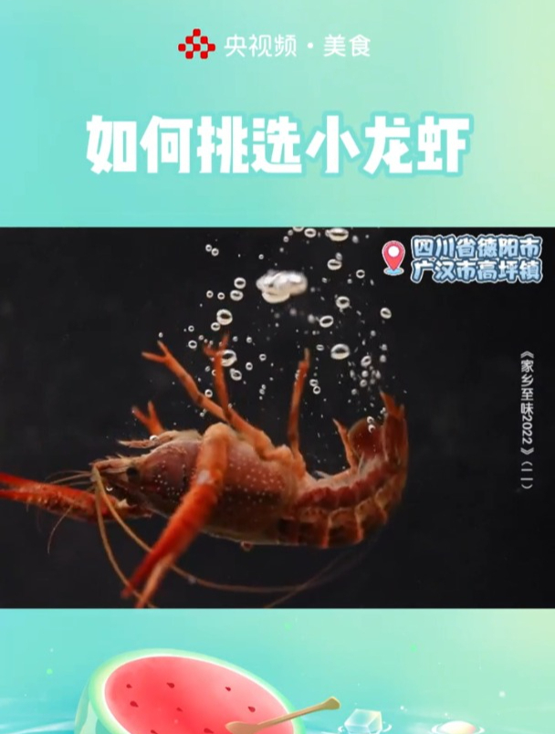 你知道怎么挑选新鲜肥美的小龙虾吗?简单两招,轻松拿下!