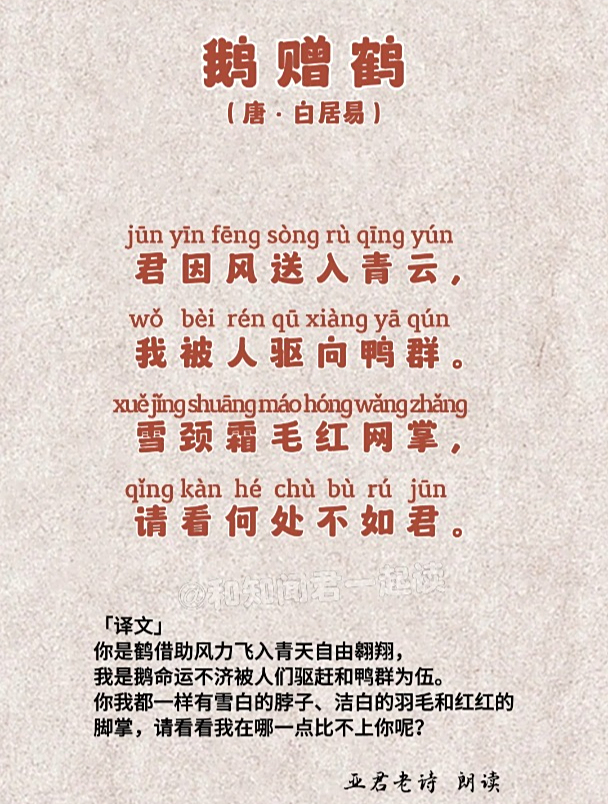 每日一首古诗词之《鹅赠鹤》,雪颈霜毛红网掌,请看何处不如君