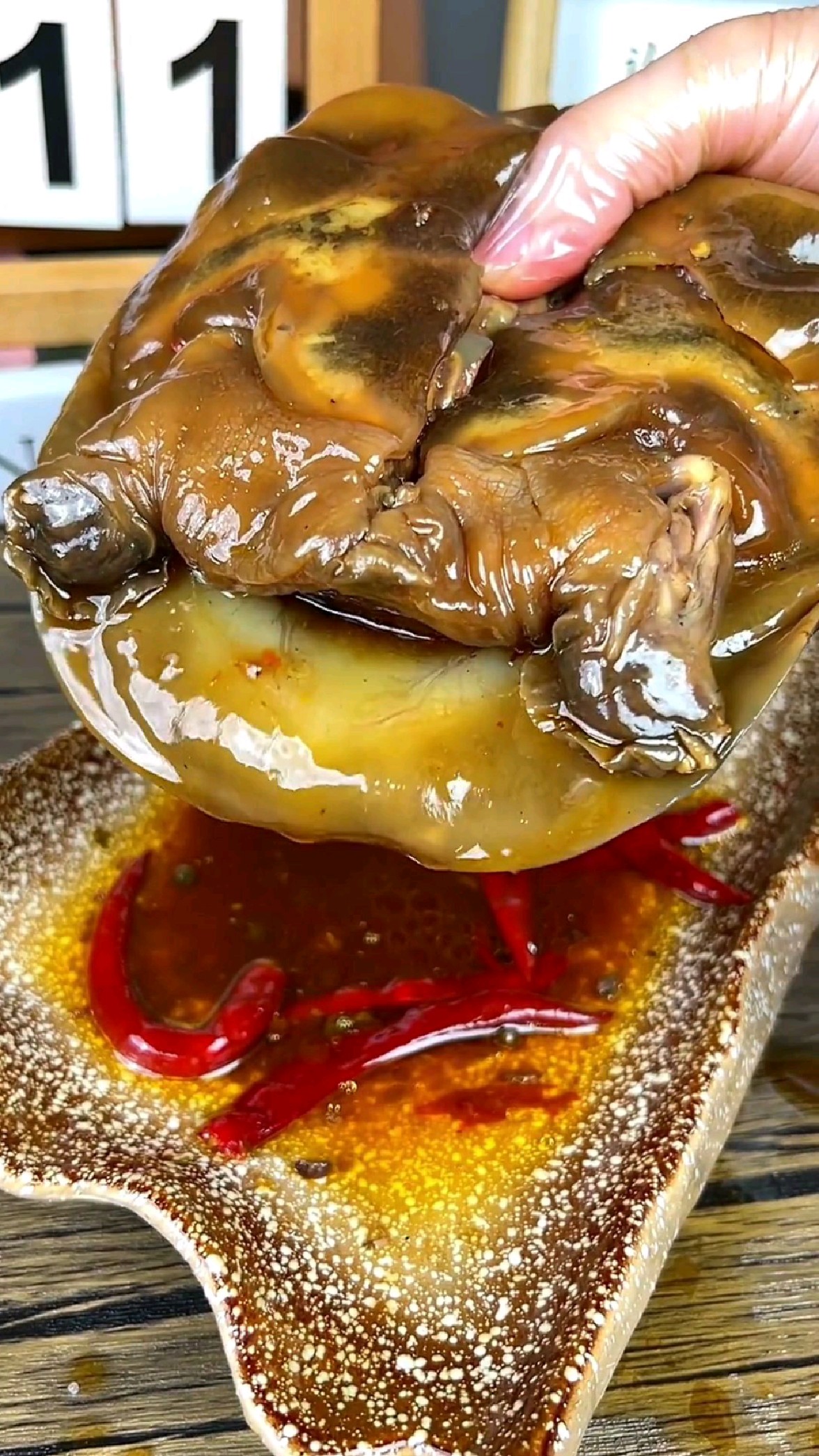 这个小甲鱼是真的肥啊