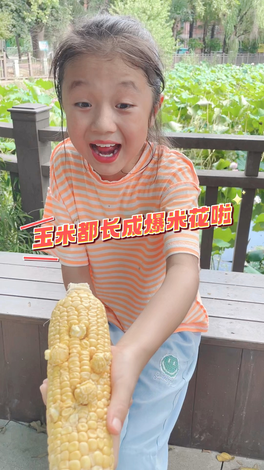 玉米热成爆米花啦