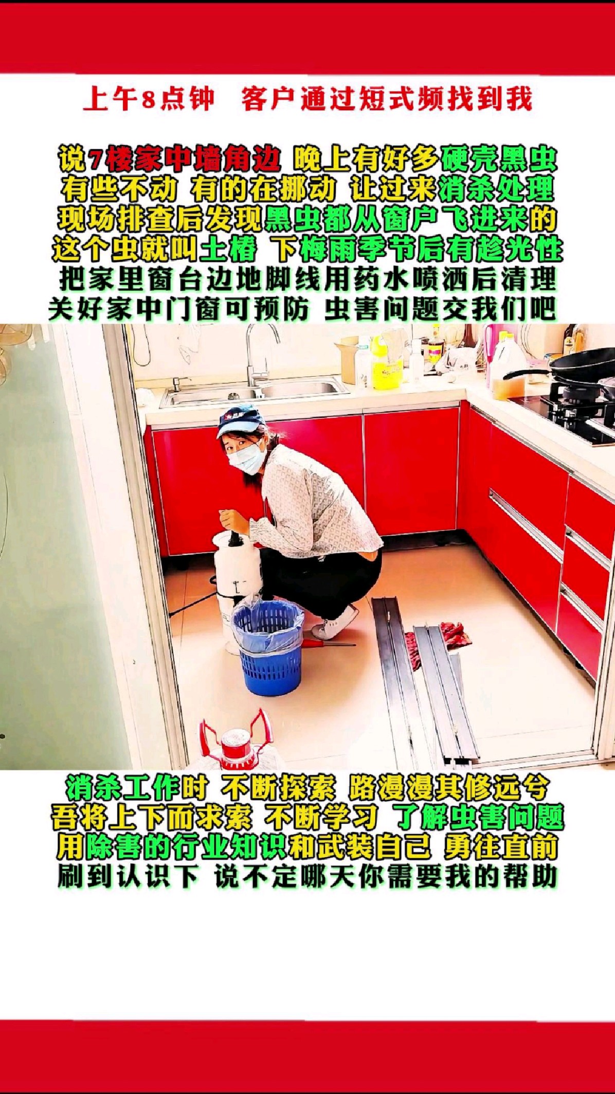 家中墙角边晚上出现有好多硬壳小黑虫 找消杀施工人员现场处理中