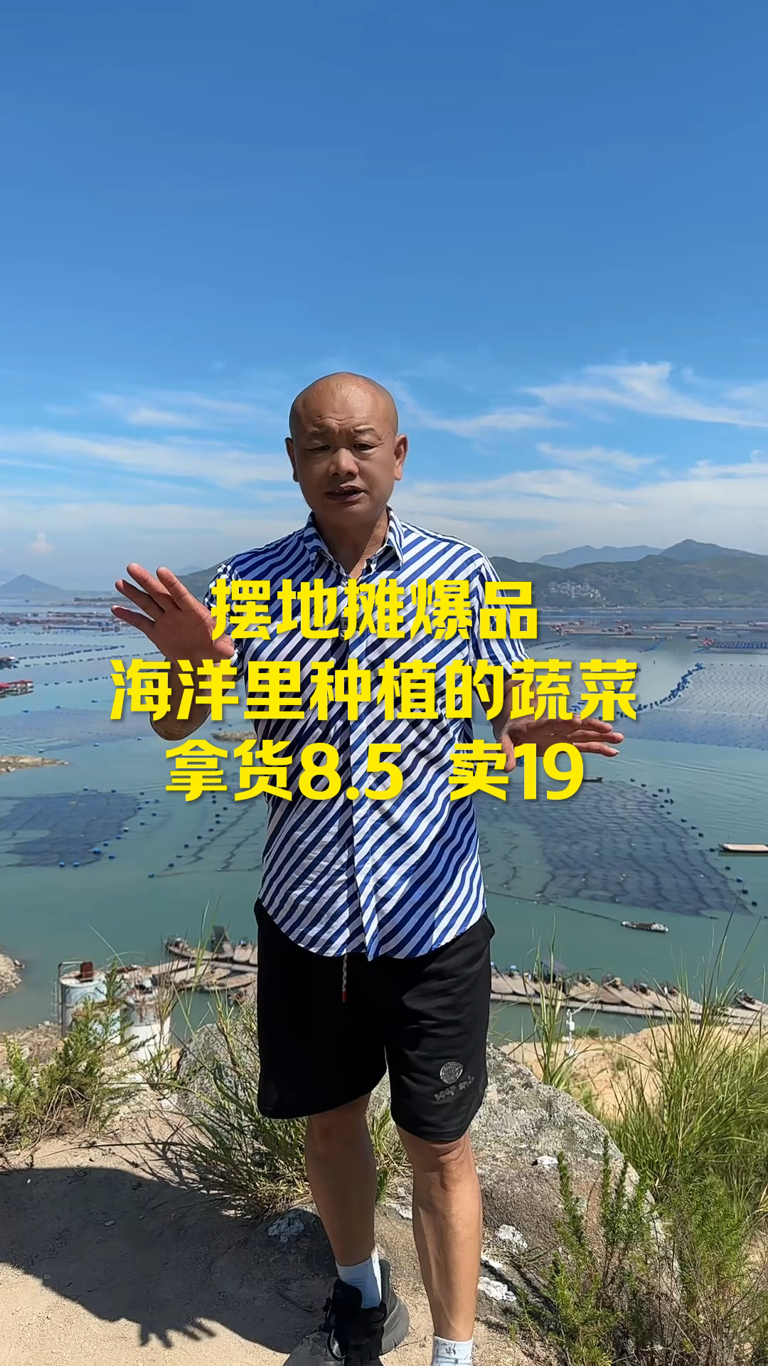 地摊爆品大海里的蔬菜