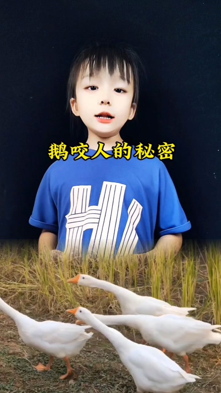 鹅的舌头上长了什么