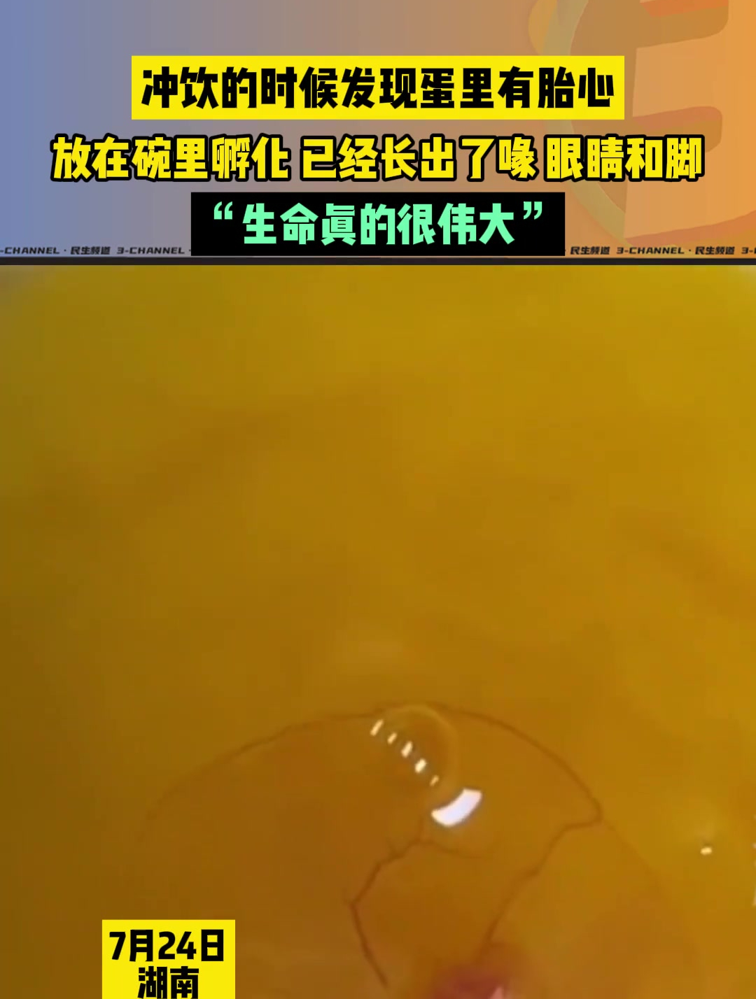 冲饮的时候发现蛋液里有胎心,男子放进碗里小心孵化。没想到居然长出了眼睛和脚