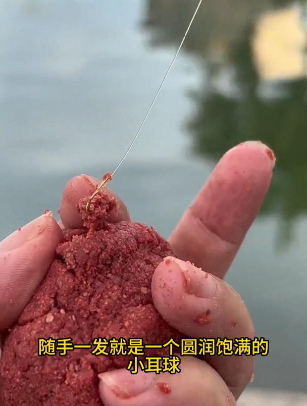 钓白条如何选择饵料?一看味型,二看状态!