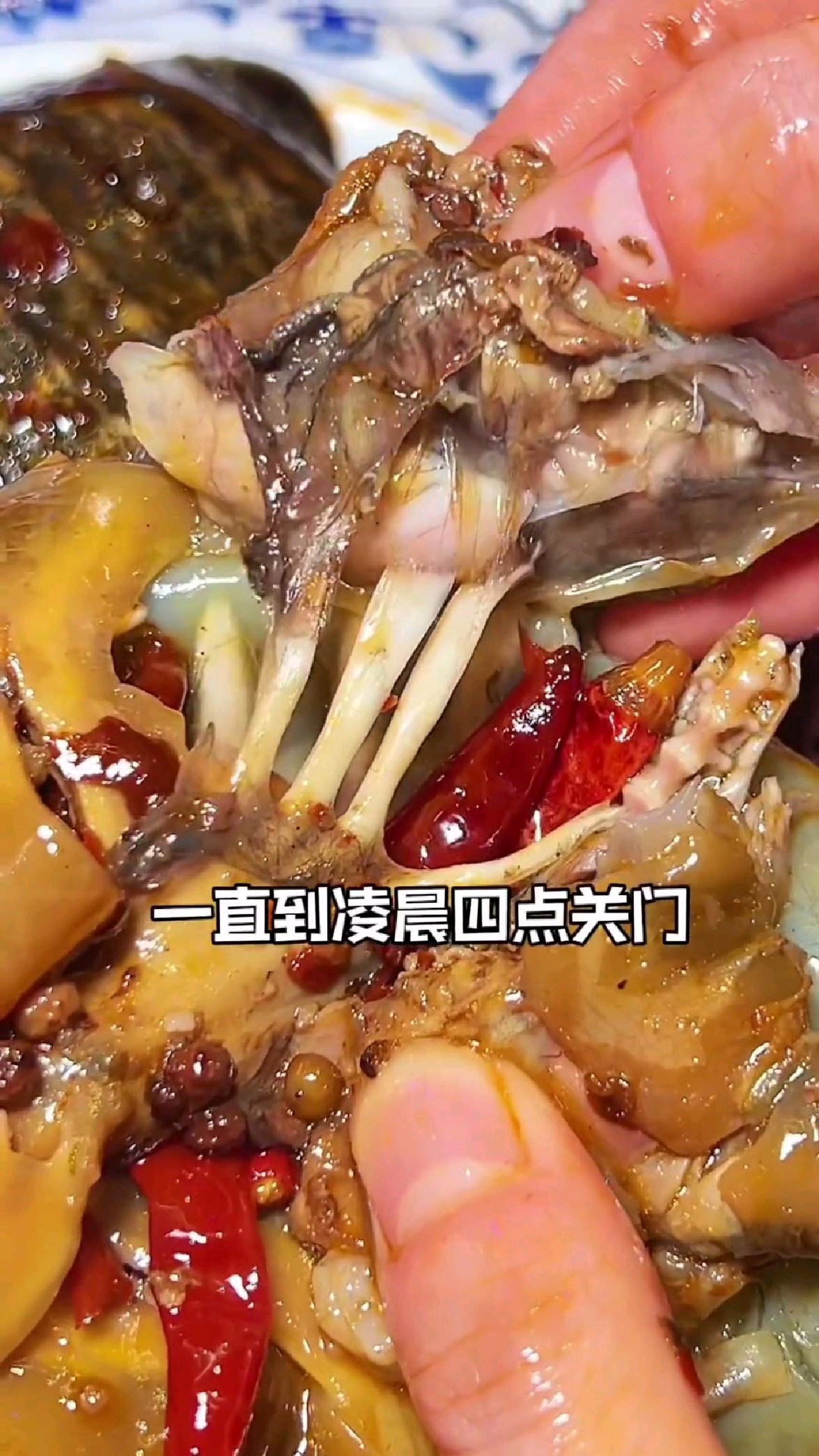 麻辣小甲鱼到底好不好吃?