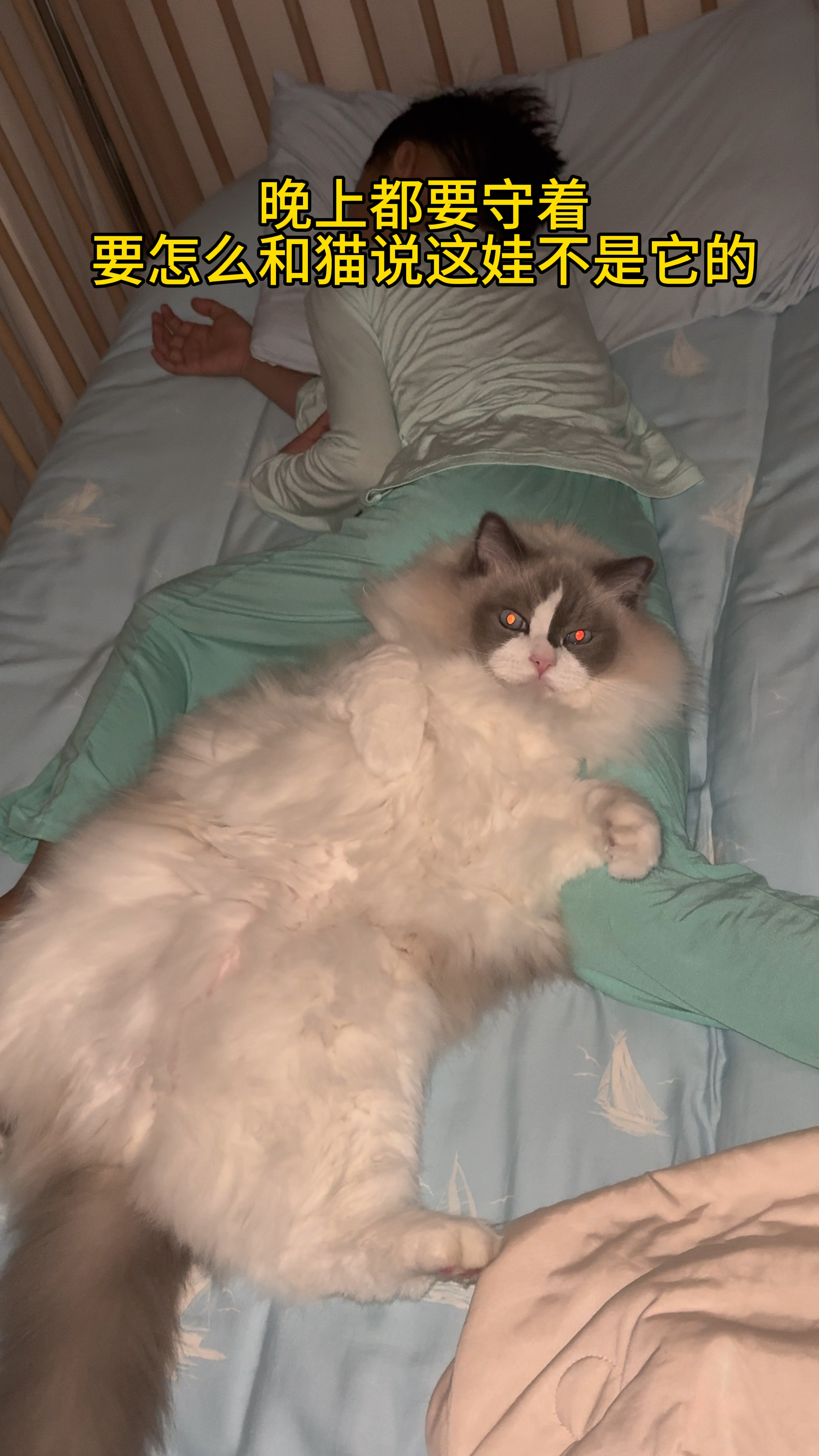 要怎么和猫咪解释,这娃不是它的,别多管闲事.#布偶猫#猫和孩子