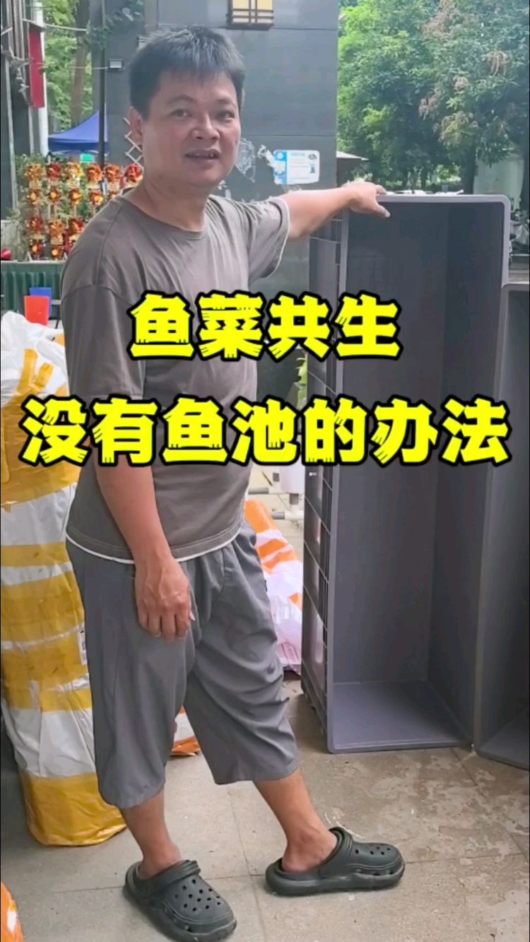 谁说有鱼池才能做鱼菜共生#鱼菜共生#智慧农业#家庭农场#阳台种菜